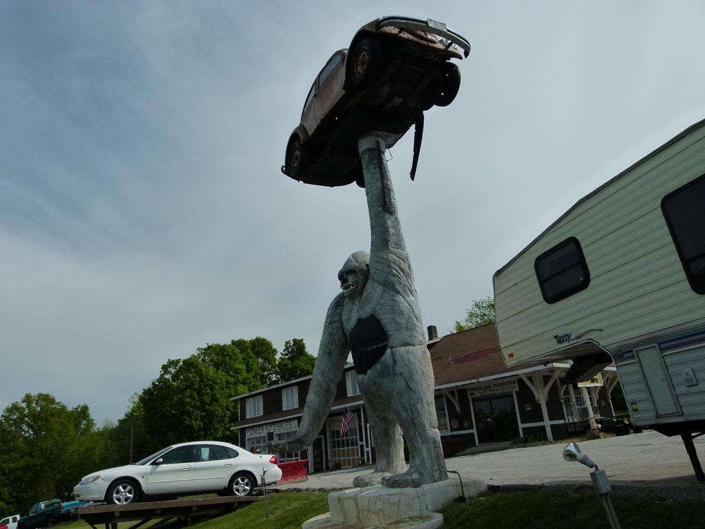 By the Side of the Road