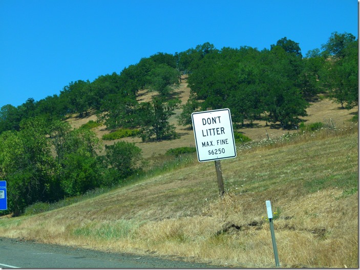 Life and Signs on the&nbsp;Road